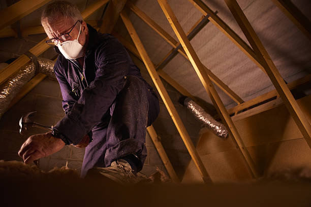Professional Insulation Contractor in Lake Bryan, TX